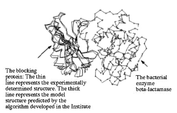 Computerized molecular recognition Computerized molecular recognition
